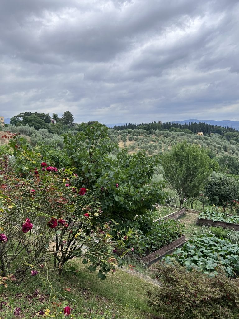 Roses, organic garden, olive grove, and the Tuscan countryside.