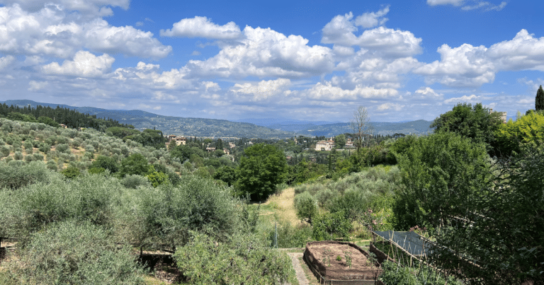 Tuscan countryside and cooking class gardens.